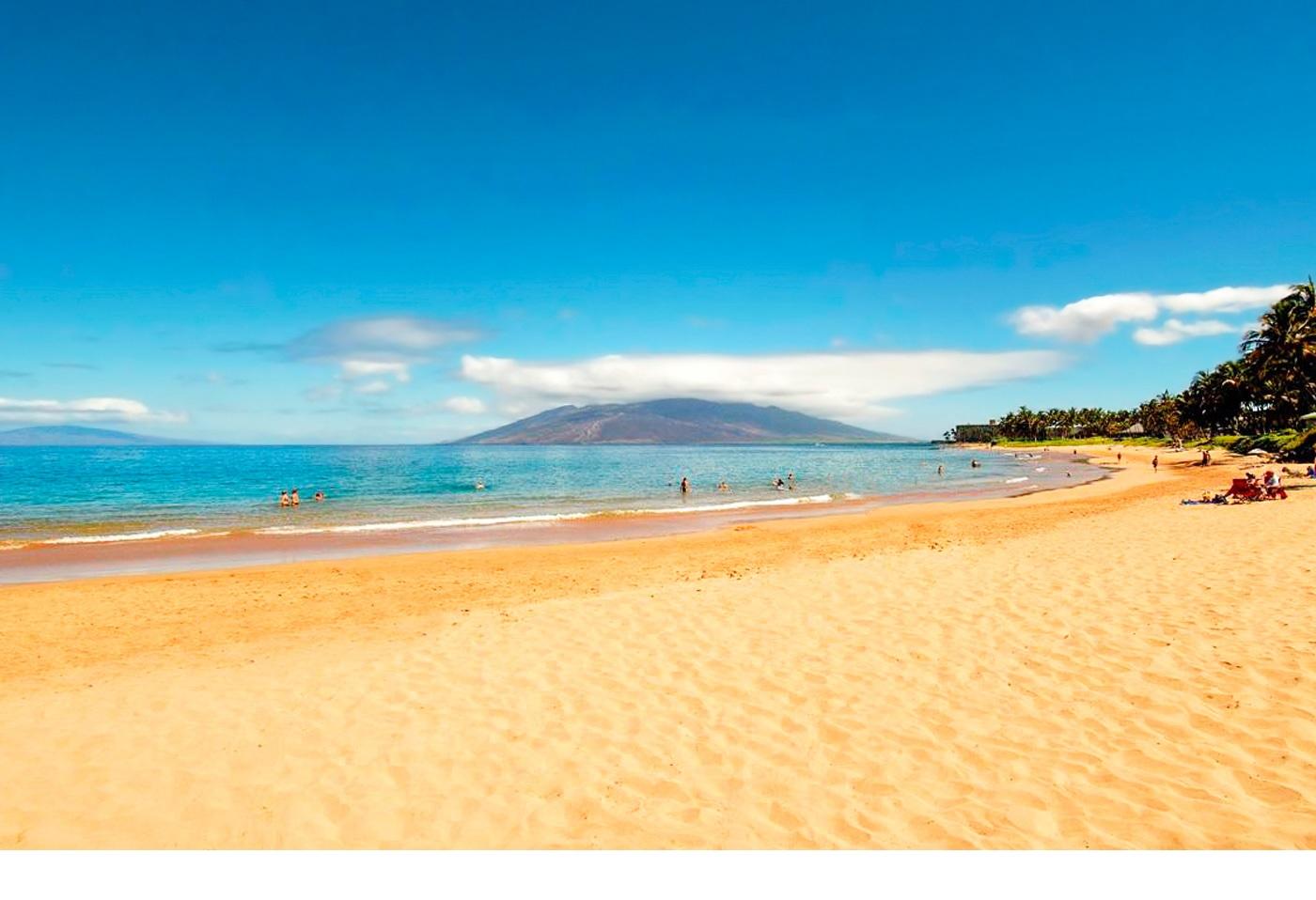 Muai, where they are going for their honeymoon. Dani wants to use their time there to convince Andrew he wants to move there... He doesn't think he'll need much convincing.