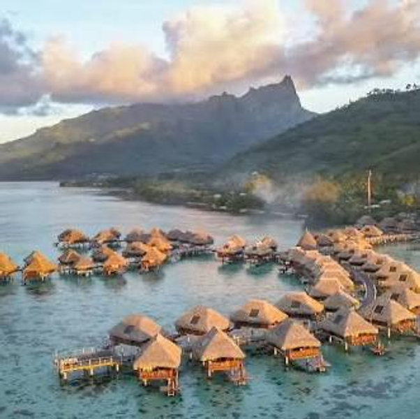 Honeymoon - Venmo Option