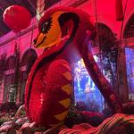 Bellagio Conservatory & Botanical Gardens