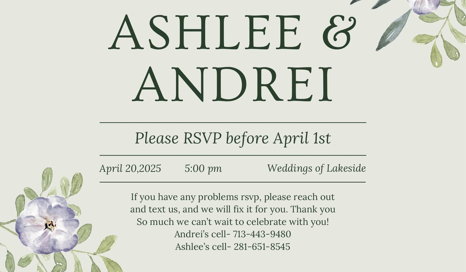 The Wedding Website of Ashlee Barker and Andrei Kurlykin