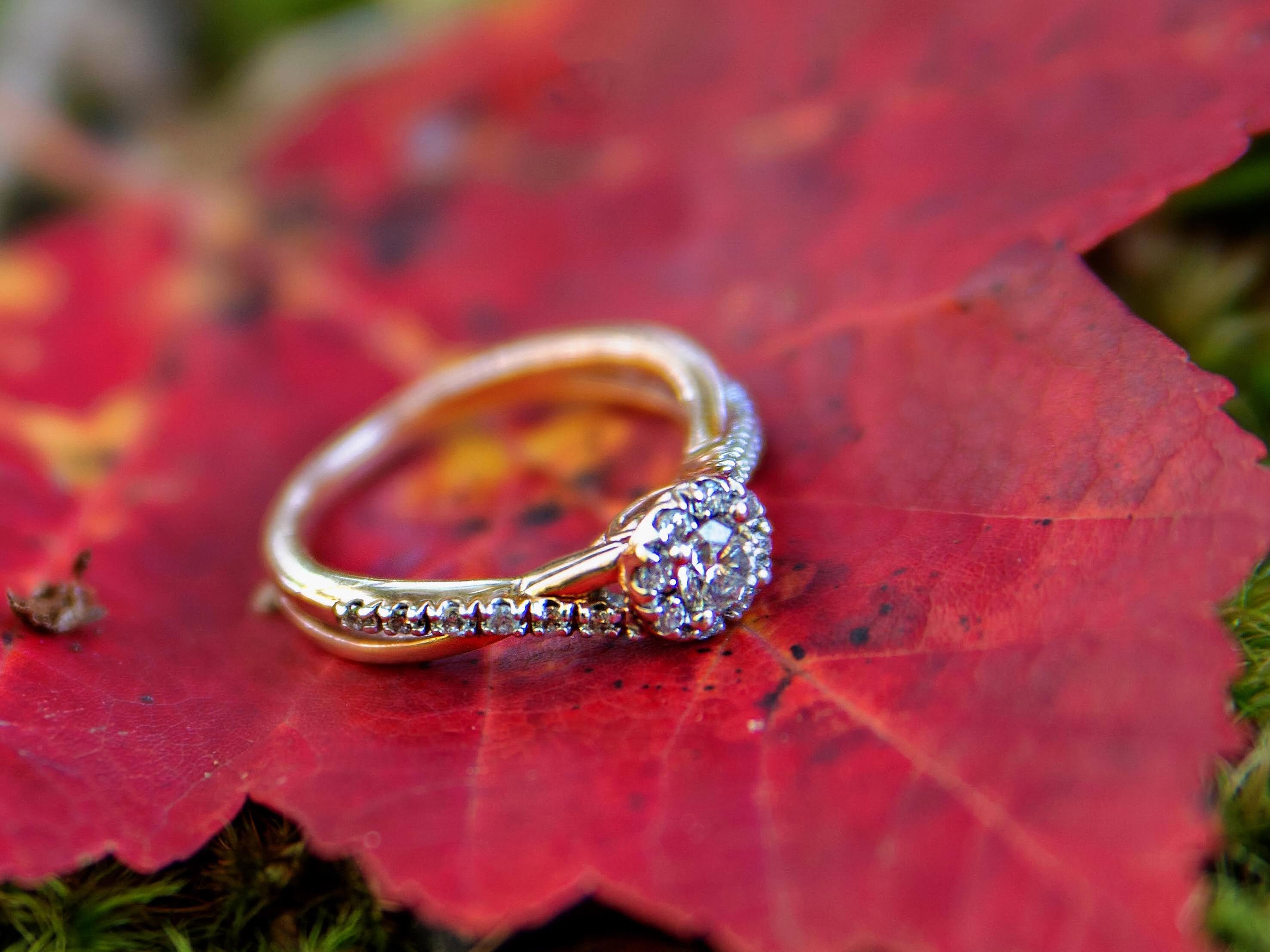 The Wedding Website of Savannah Tidwell and Patrick McIntosh