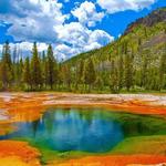 Yellowstone National Park