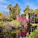 UC Davis Arboretum and Public Garden