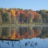 Potato Creek State Park