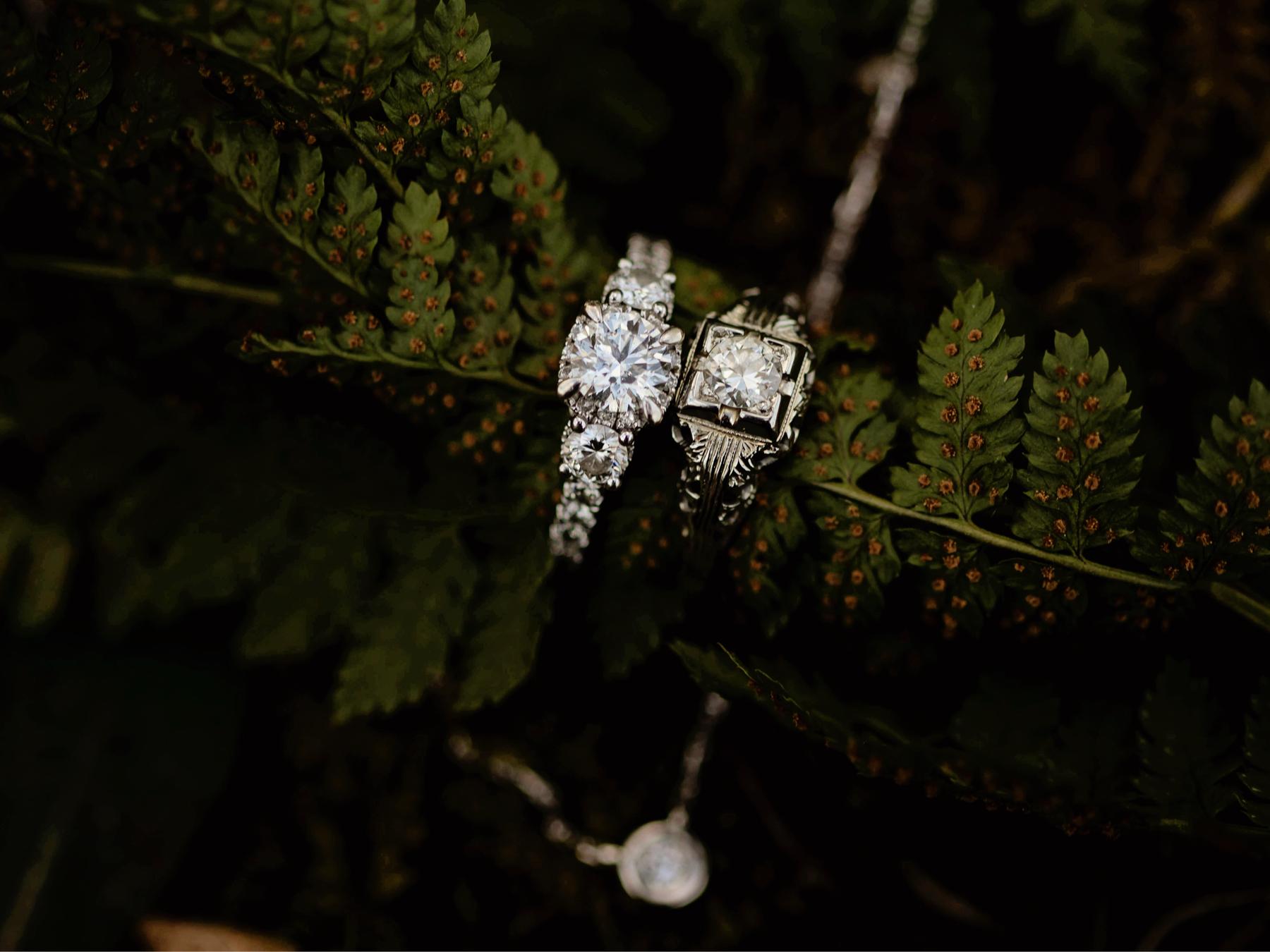 The Wedding Website of Molly Shepler and Garrett Rowan
