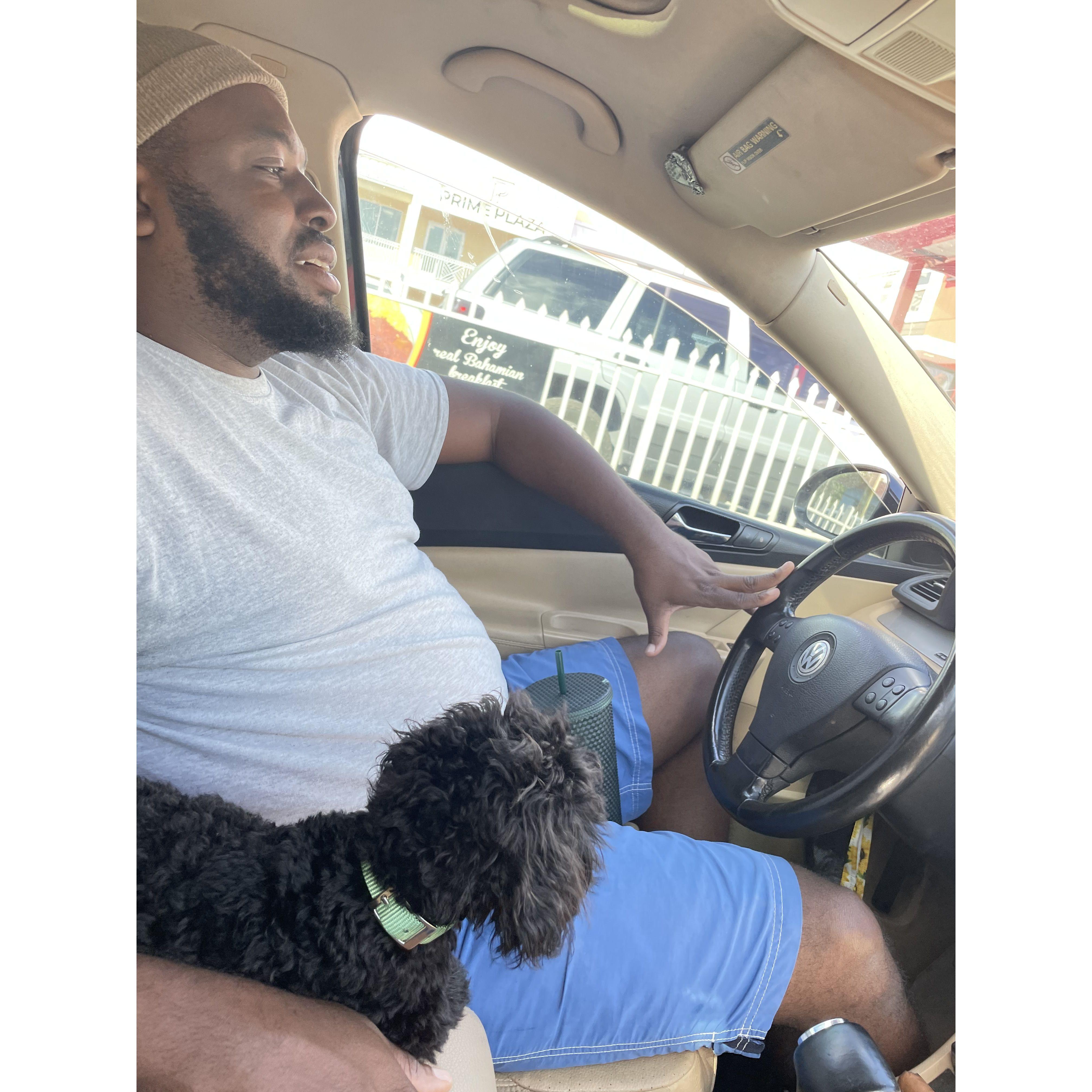 They love car rides.