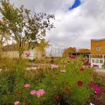 The Botanic Garden at Historic Barns Park