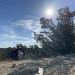 Pedernales Falls State Park