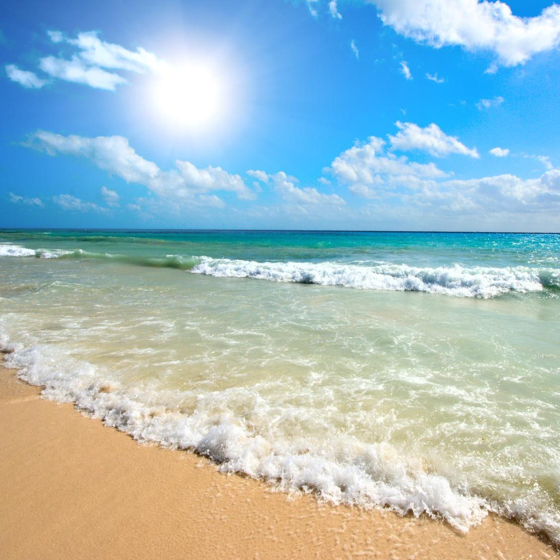 The beach in Hawaii