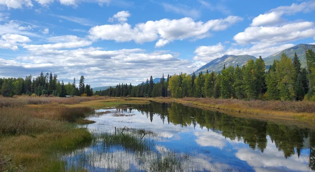 The Wedding Website of Danielle Yoder and Tudor Chesaru