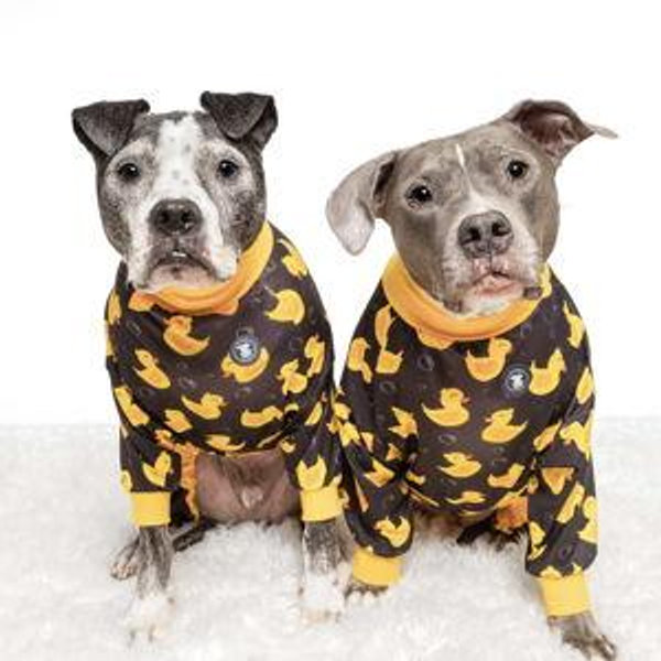Future Pet Fund!