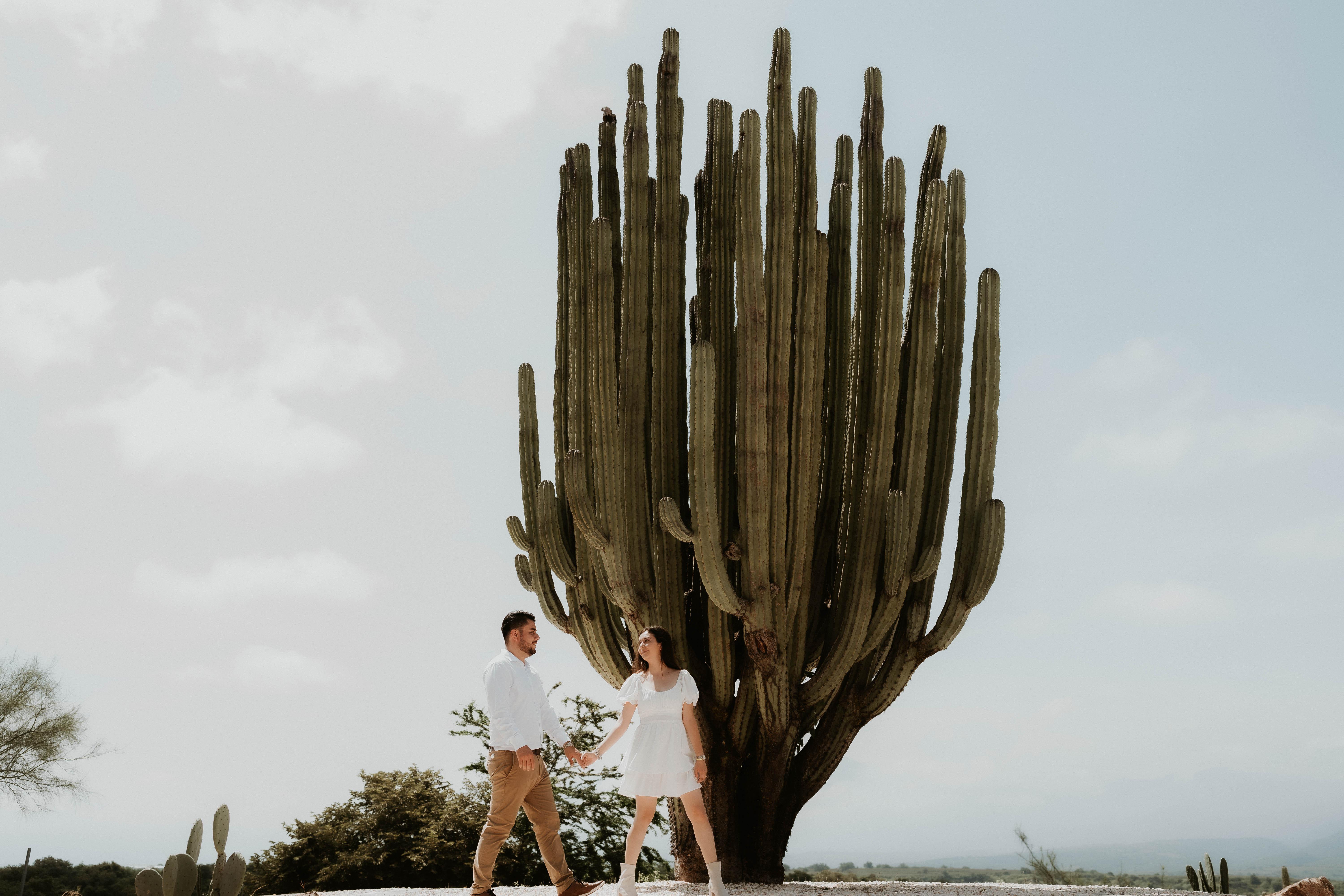 The Wedding Website of Mabelin Molina and Isidro Vera