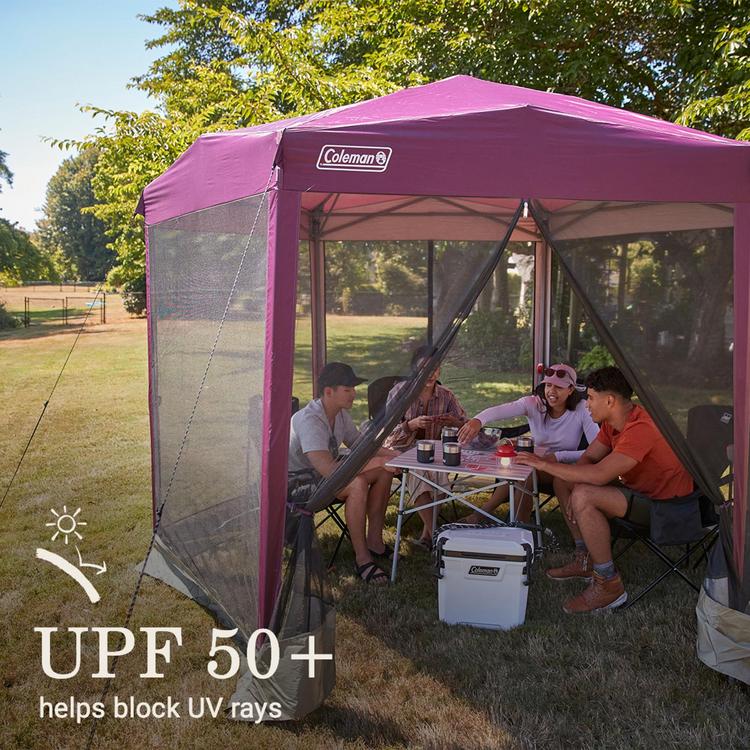 Coleman Screen Canopy Tarp 320　美品 Screen Canopy Joint Tarp 3 - AFH Outdoor Gear
