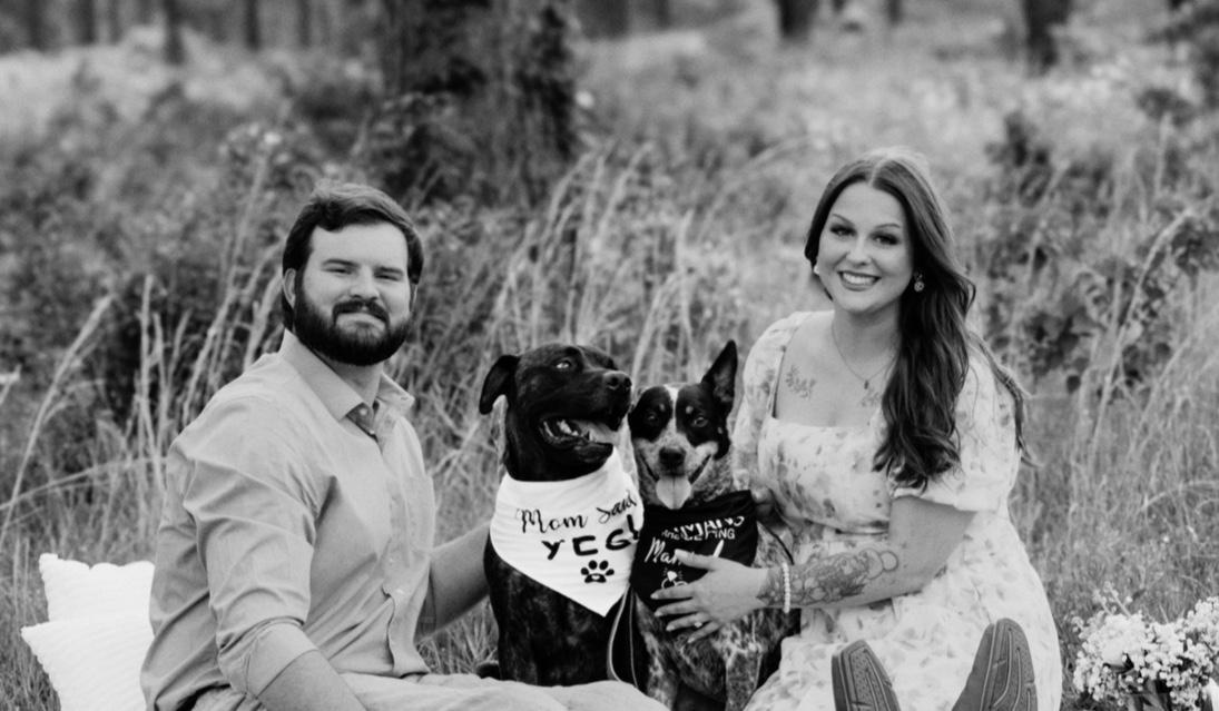 cdb39f23-a70c-47fc-af99-ac7444e28450