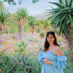 Taft Gardens