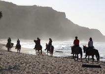 Tropical Trail Rides