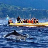 Wildlife Tours with Terra Azul
