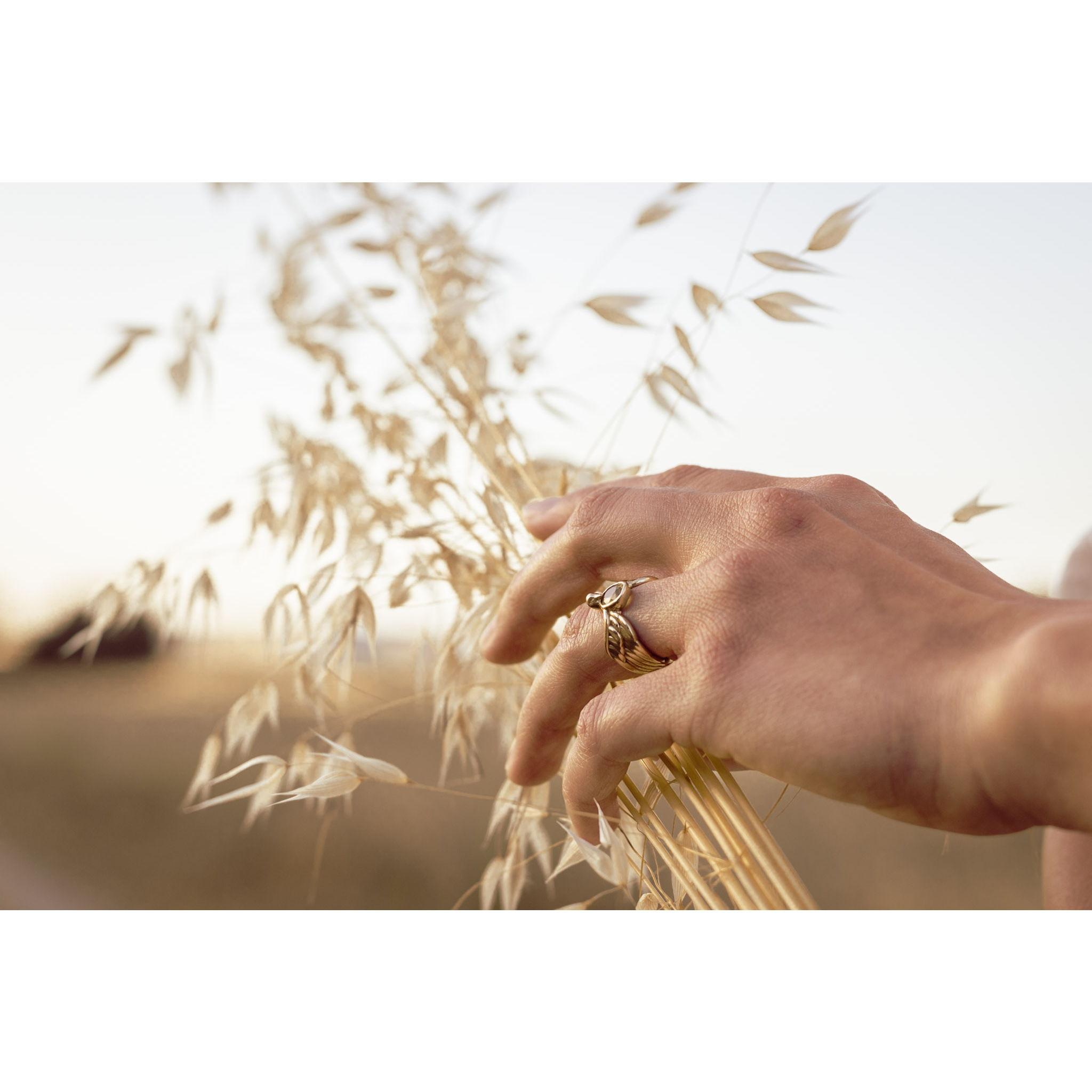 Based Engagement, by John Sokol