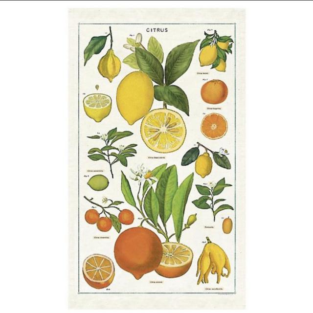 Citrus Tea Towel