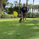 Miniature Golf- Right at the Hotel
