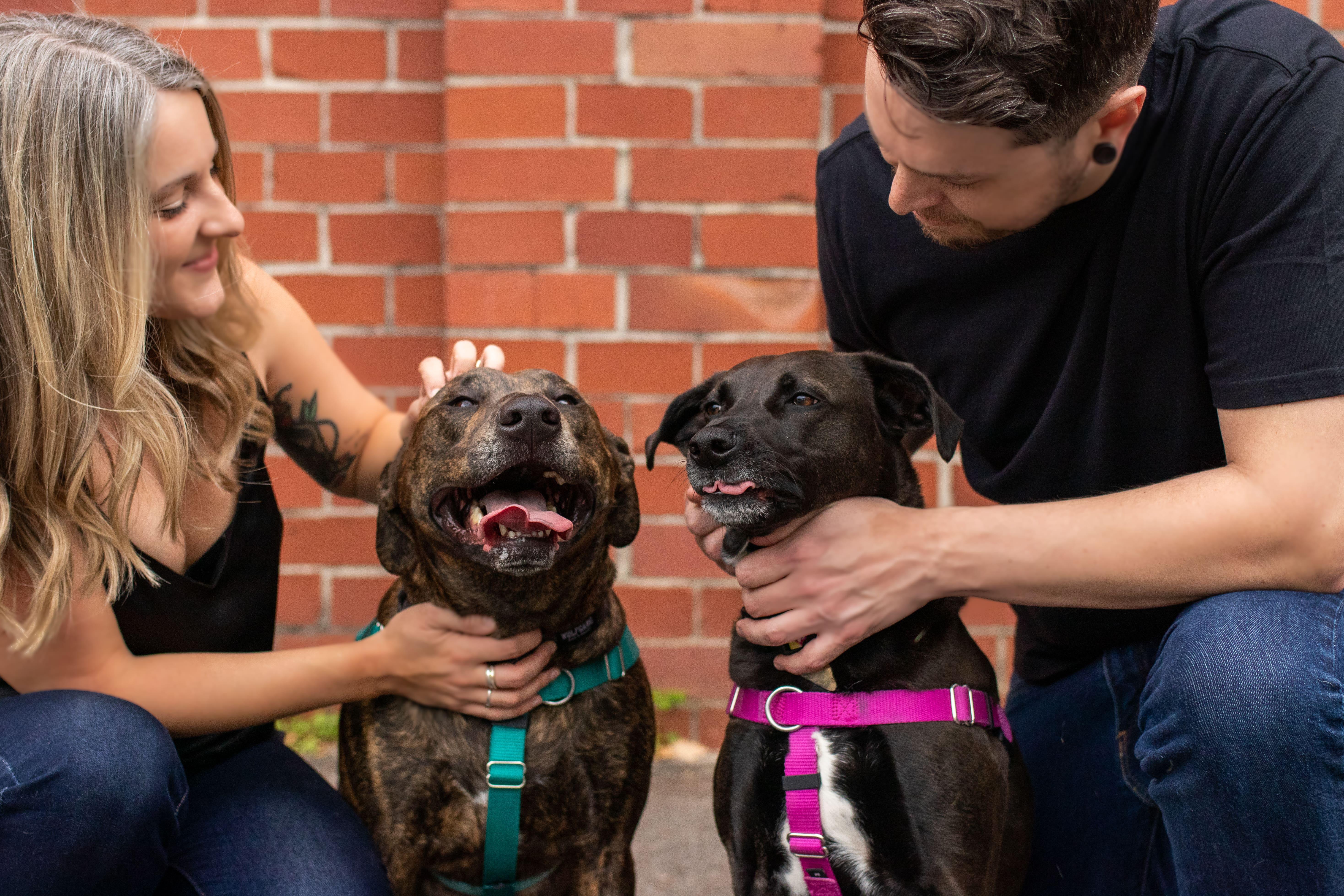 The Wedding Website of Amanda Johnson and Michael Dowie