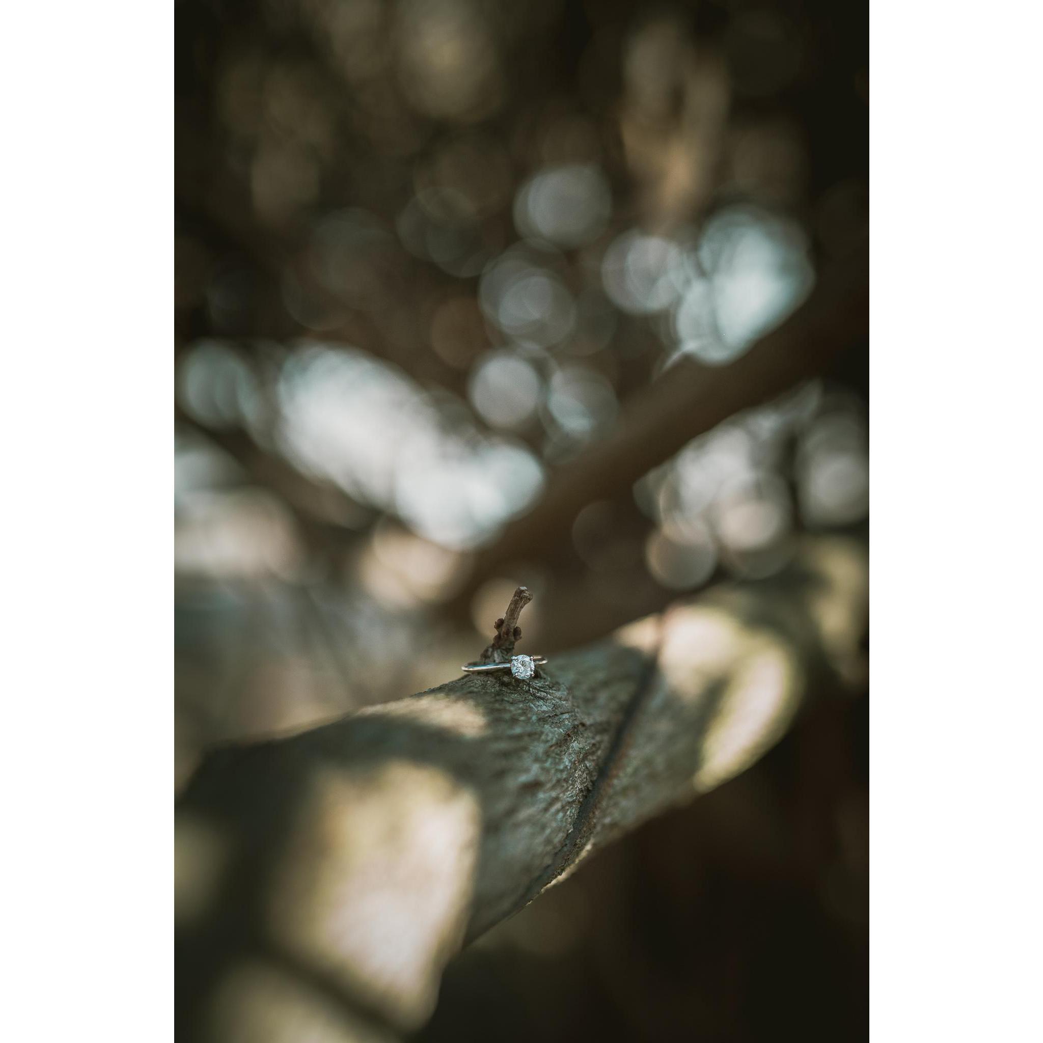 Photo by Mother May I Photography