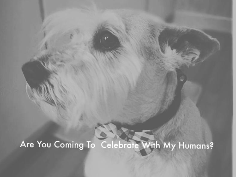 The Wedding Website of Carolina Berlanga and Kirk Schelske