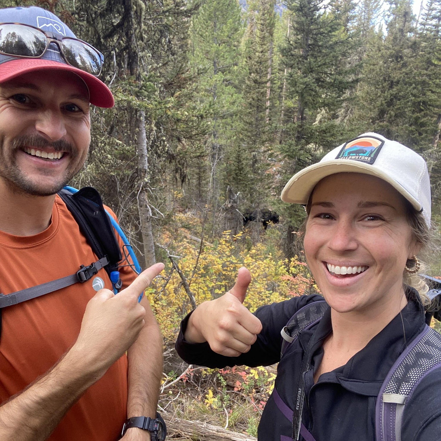 WE SAW A MOOSE (September 2025)