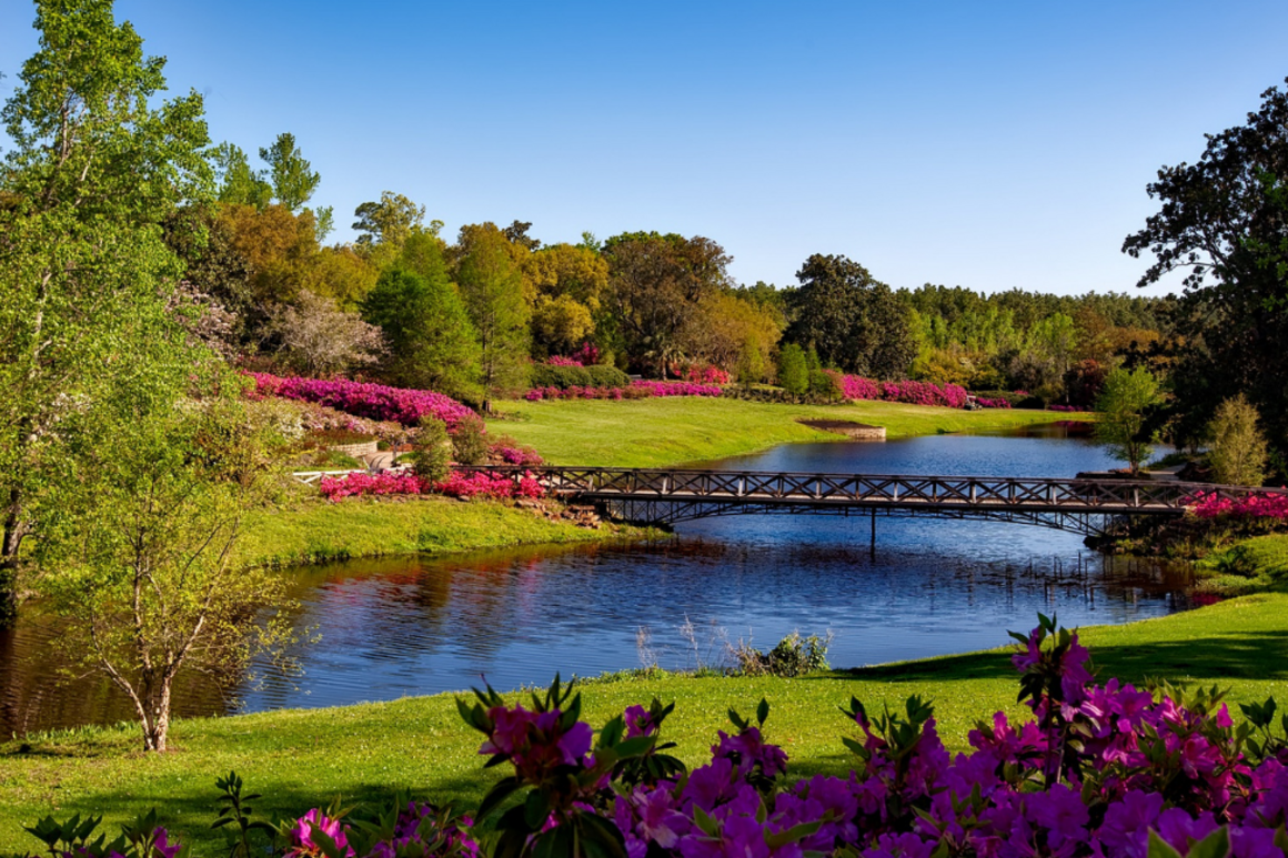 Living Waters Park