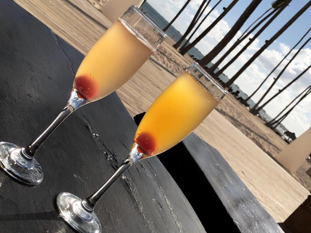 The Wedding Website of Dominique Santana and Sparkle Mabry