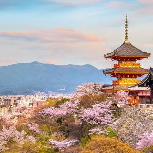 Japan Honeymoon Fund! (credit card accepted -- with fee)