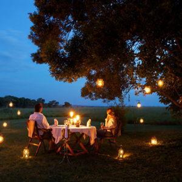 Dinner under the African Stars