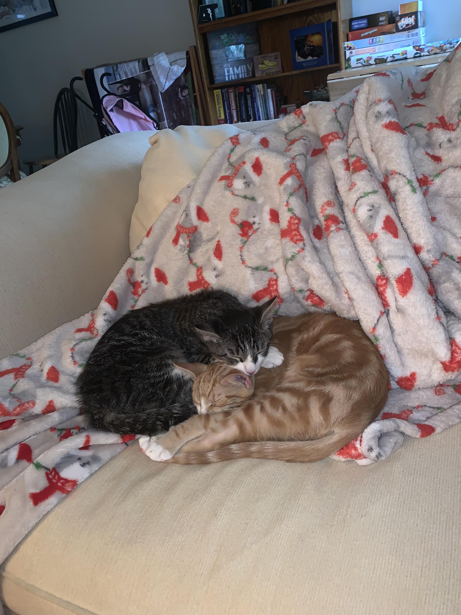 Can’t forget our babies!