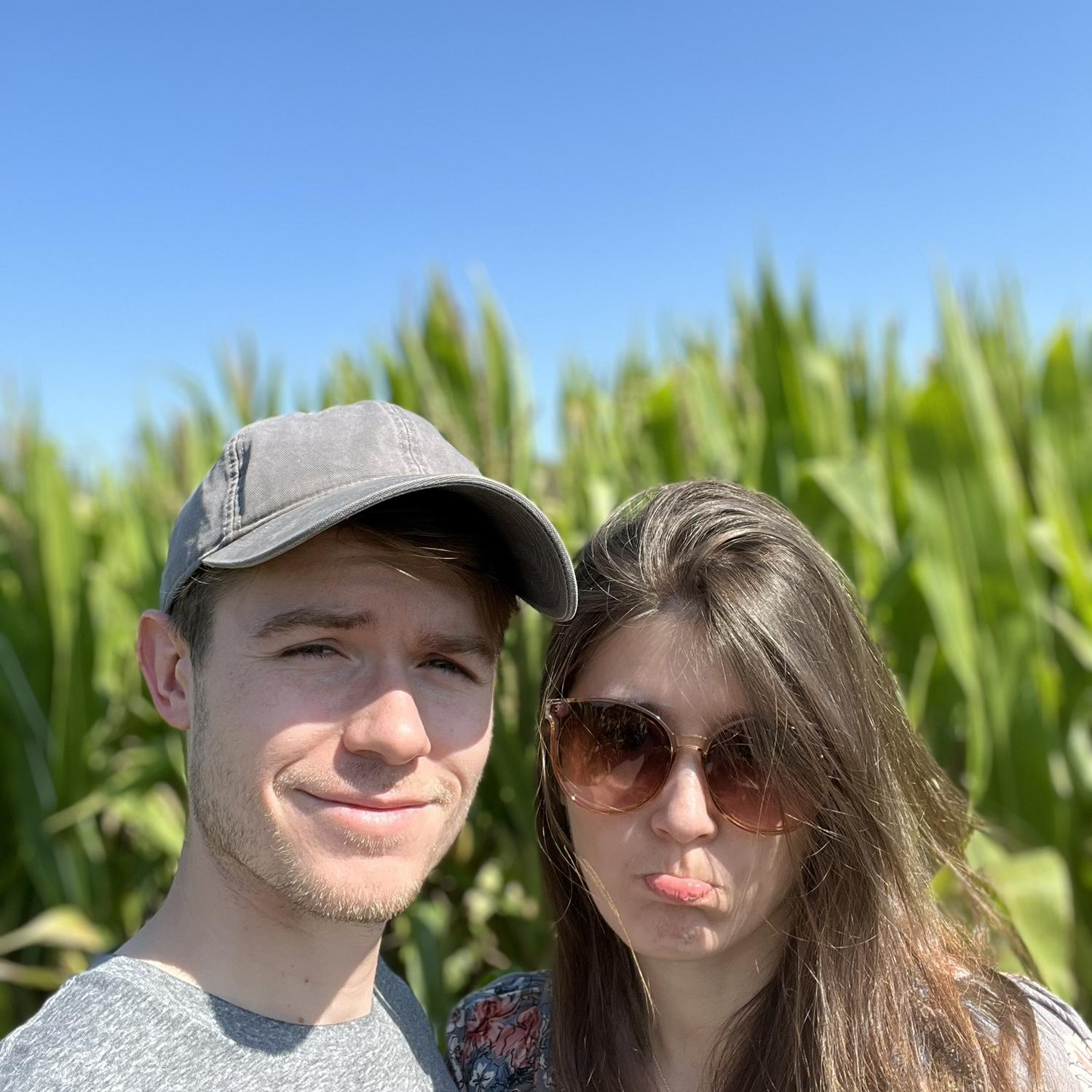 CORN MAZE