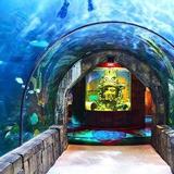 Audubon Aquarium