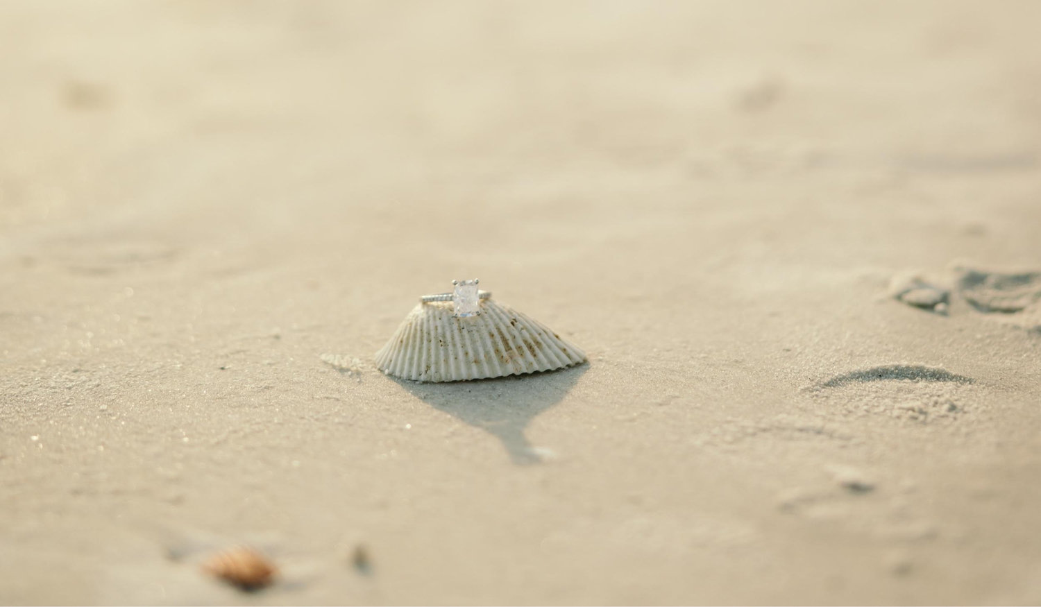 Footer image