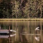 Peace River Wilderness Park