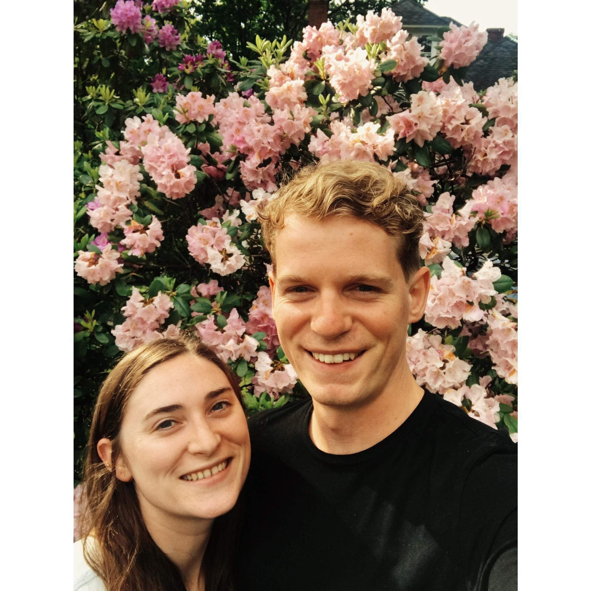 A spring walk in Winchester, 2018