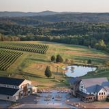Stone Tower Winery