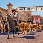 Fort Worth Stockyards