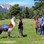 Llama Trekking