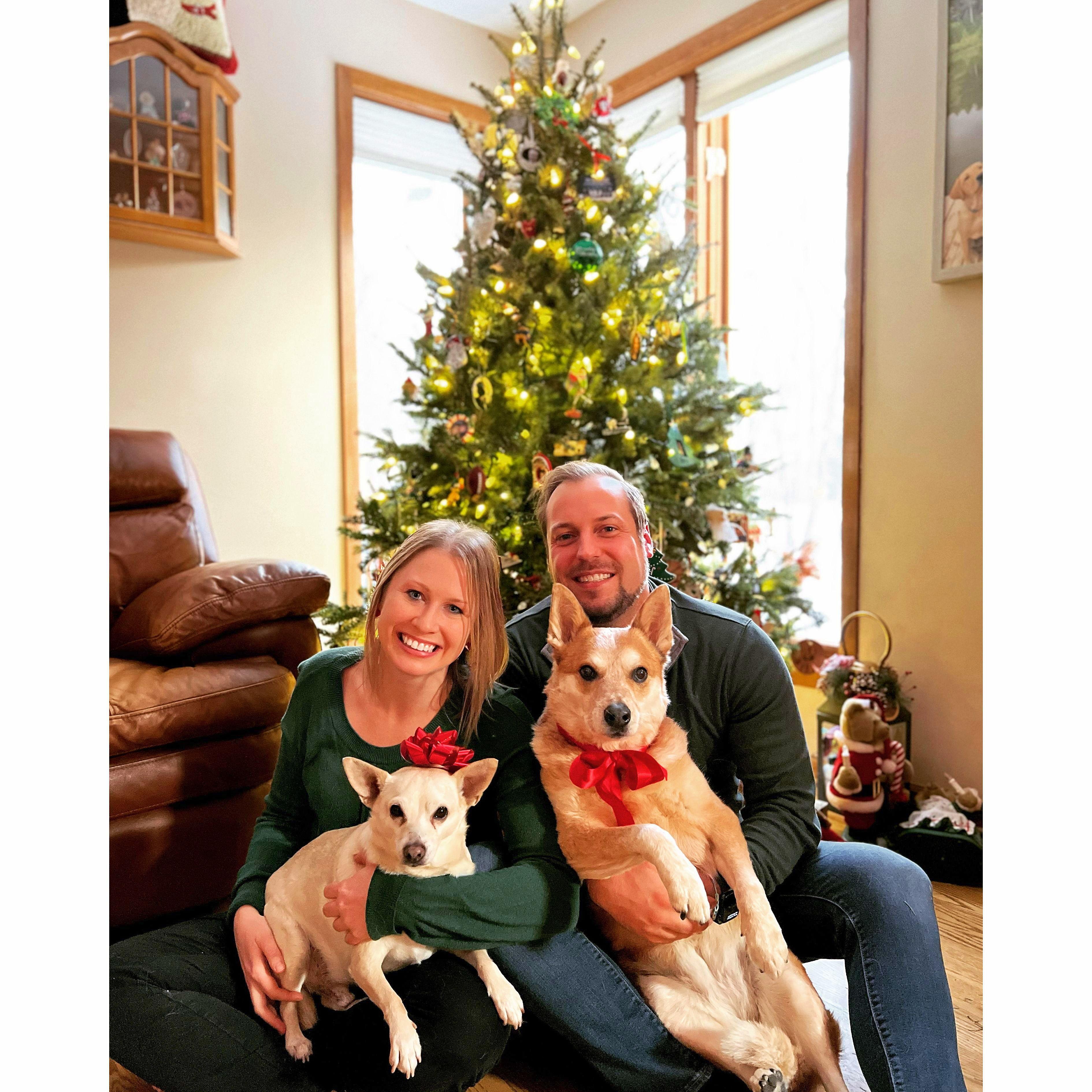 Christmas 2022 with Sachi and Josie