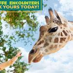 Gulf Breeze Zoo