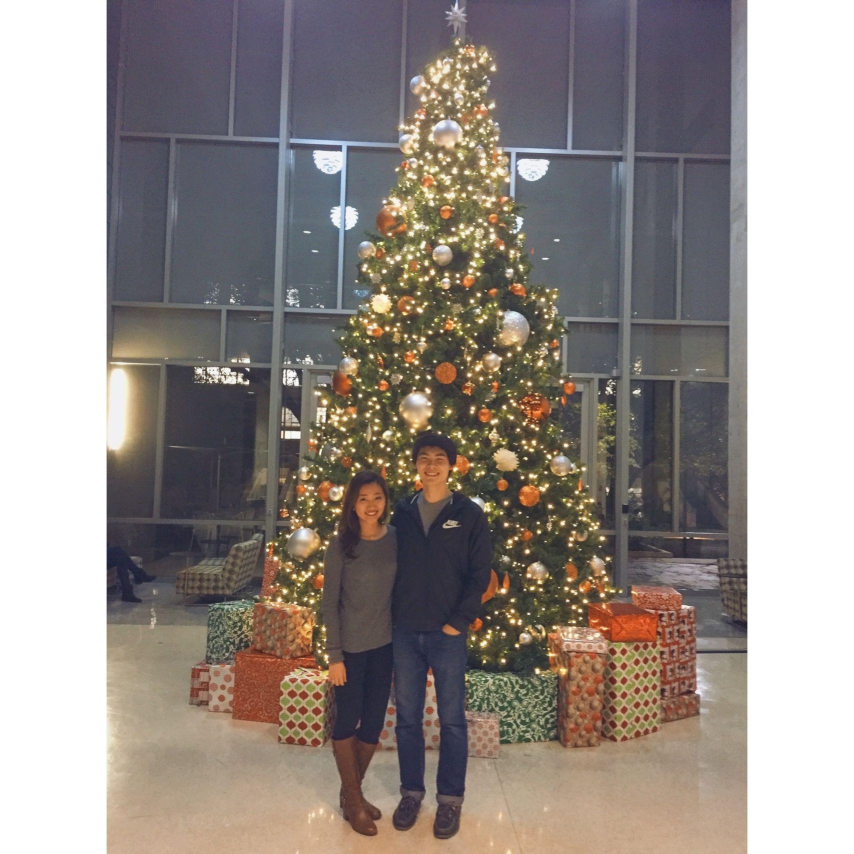 Nov 2015
Austin, TX
Our first Christmas tree picture