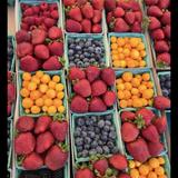 Channel Islands Harbor Farmers Market