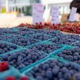 Holland Farmers Market