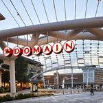 The Domain