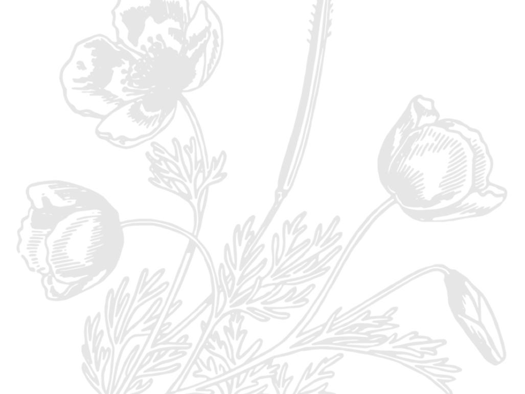 The Wedding Website of Amanda Chorette and Brett Beard