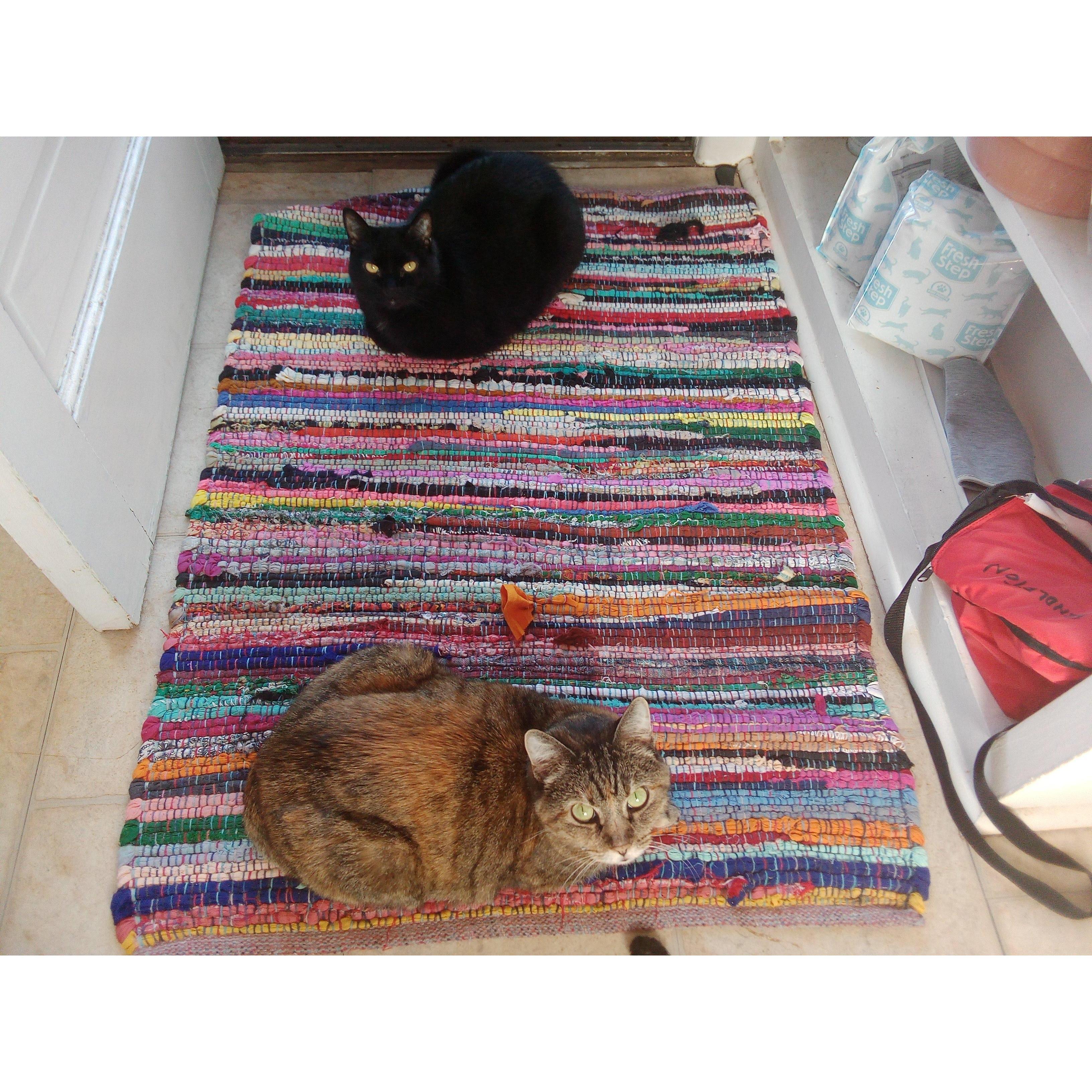 Our fur children: Tumbles and Jazz