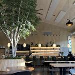 Nocturnal Bloom Brewing